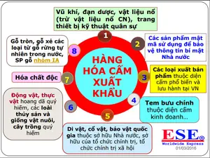 Bạn muốn biết thủ tục hải quan xuất khẩu gồm những bước nào, để chuẩn bị cho lô hàng xuất sắp tới của mình? Bài viết này sẽ giới thiệu cho bạn những thông tin chi tiết...
