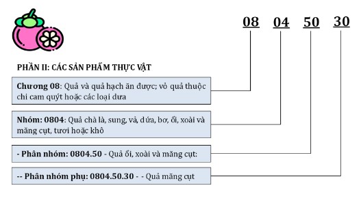 HS code là gì