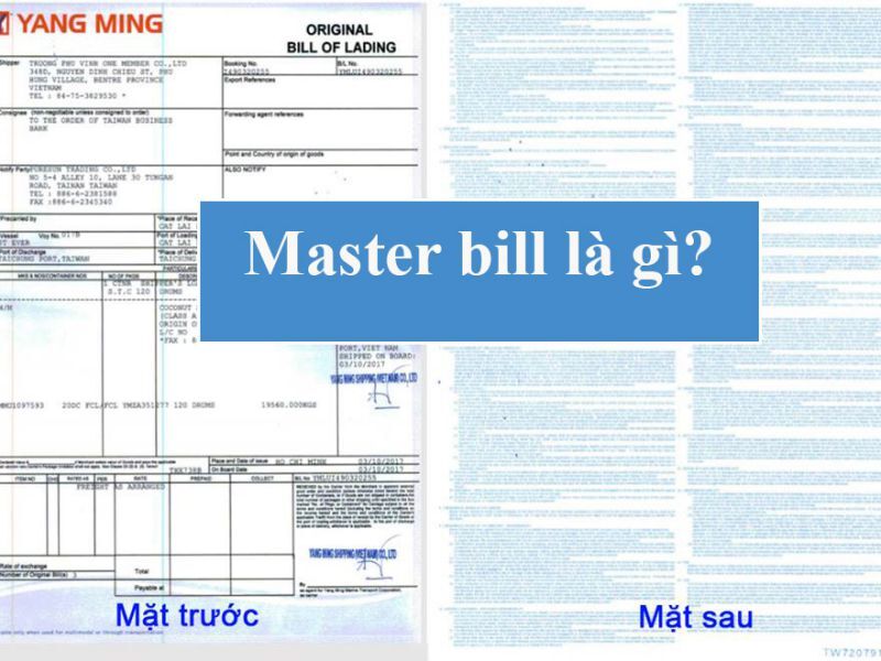Master Bill là gì