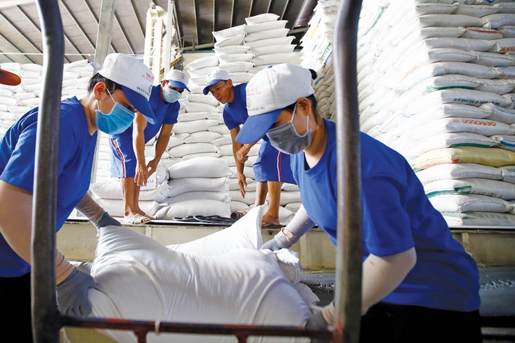 thủ tục xuất khẩu gạo