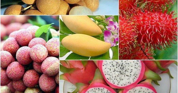 Trái cây xuất khẩu