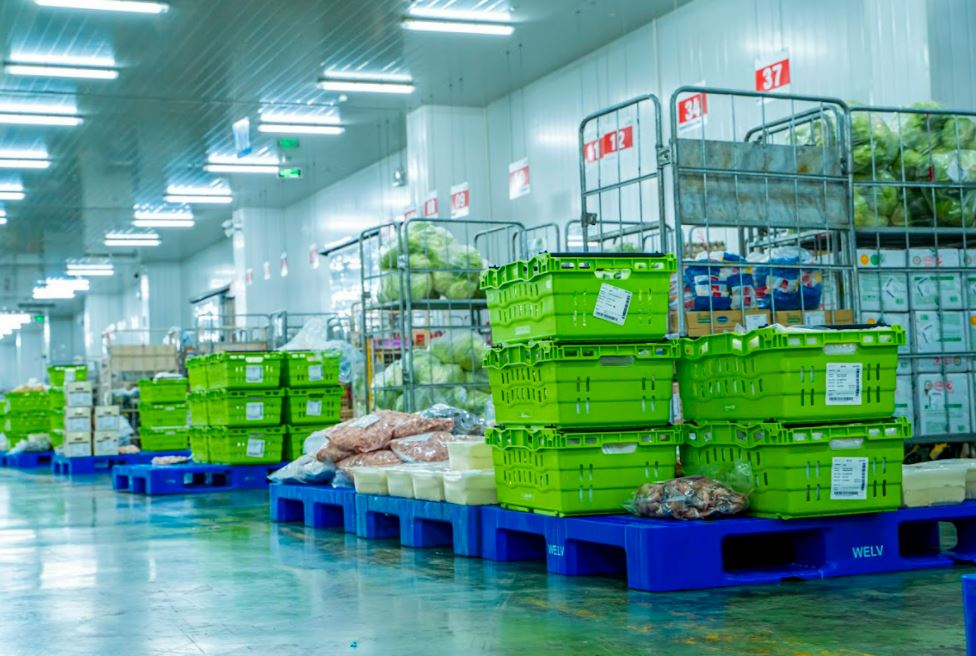 Rau lạnh bảo quản rau quả 