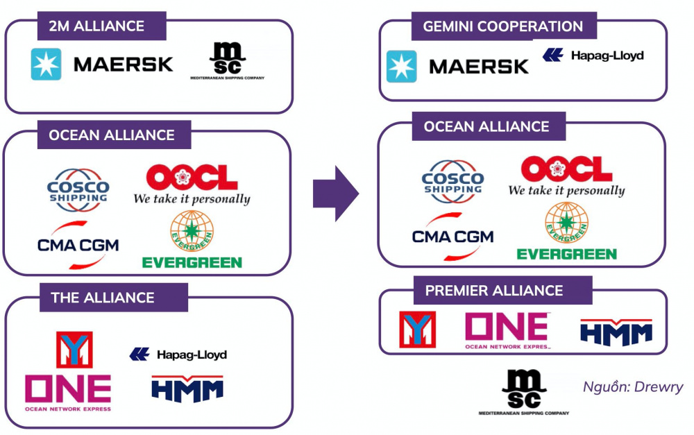 Liên minh hãng tàu 2/2025 Liên minh hãng tàu 2/2025