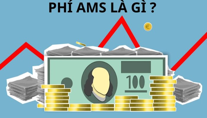 Phí AMS là gì