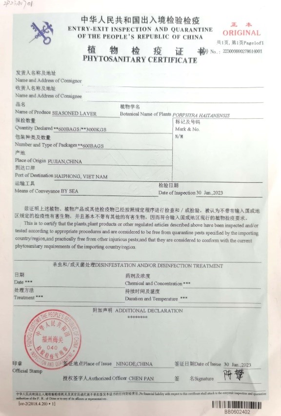 phyto là gì phyto là gì