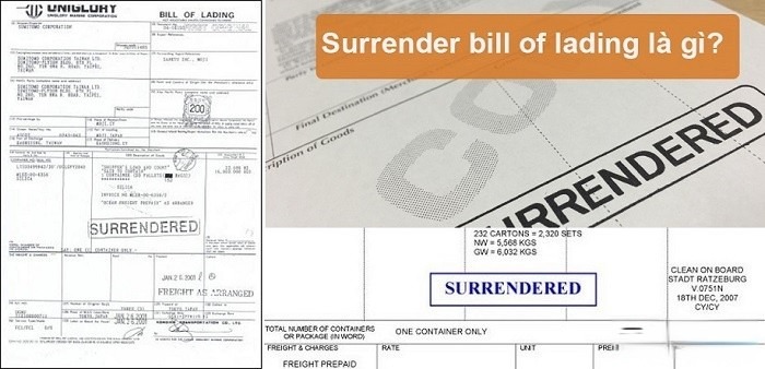 Surrender Bill là gì