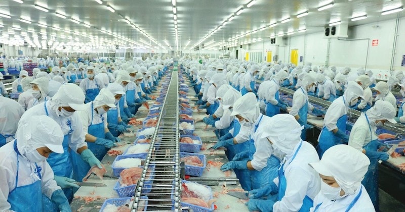Chế biến thủy sản xuất khẩu