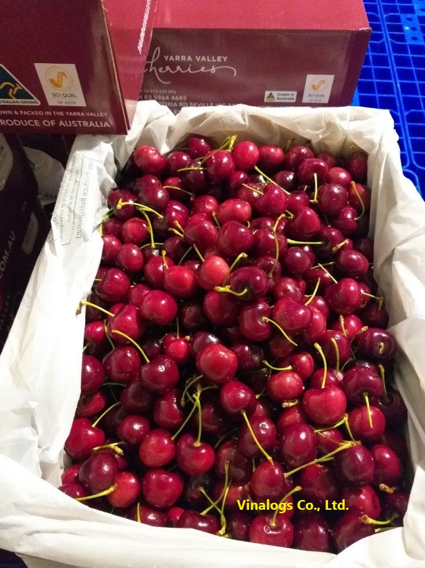 Cherry tươi nhập khẩu, màu tím đỏ